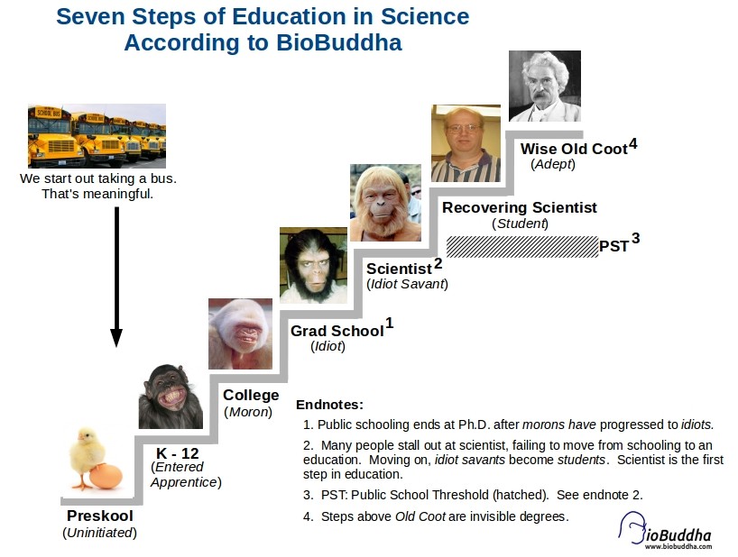 Education BioBuddha